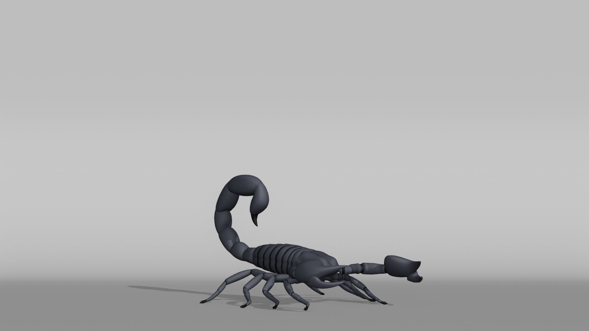 Scorpion Base Mesh Low-poly 3D model_6