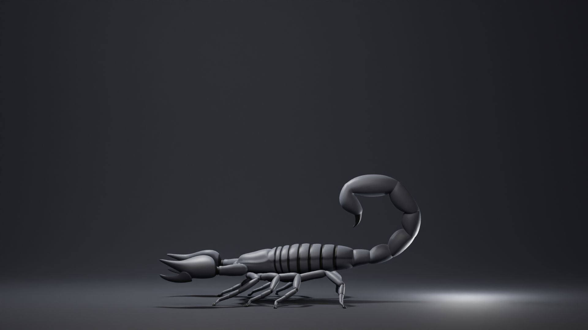 Scorpion Base Mesh Low-poly 3D model_5