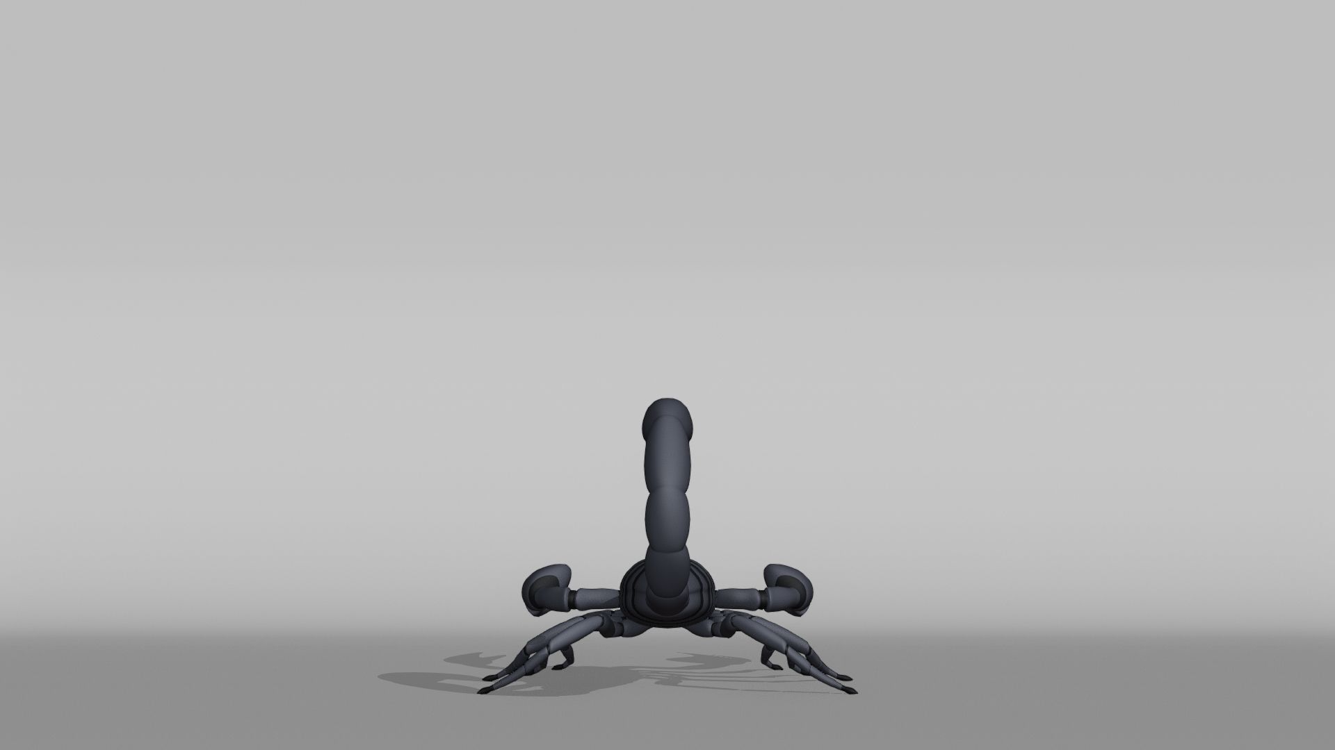 Scorpion Base Mesh Low-poly 3D model_9