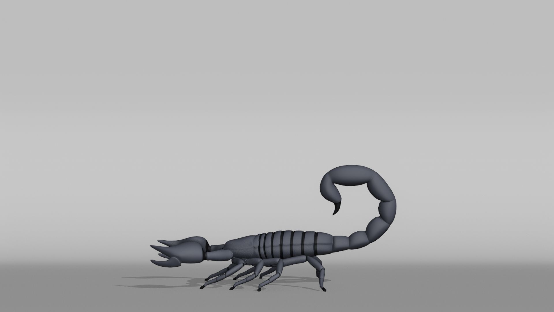 Scorpion Base Mesh Low-poly 3D model_10