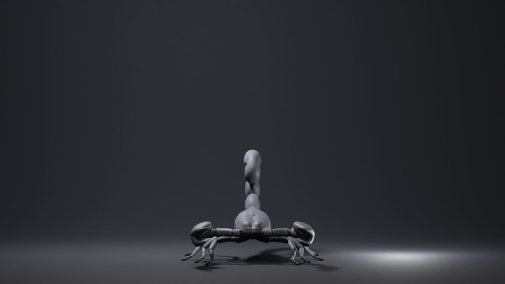 Scorpion Base Mesh Low-poly 3D model_2