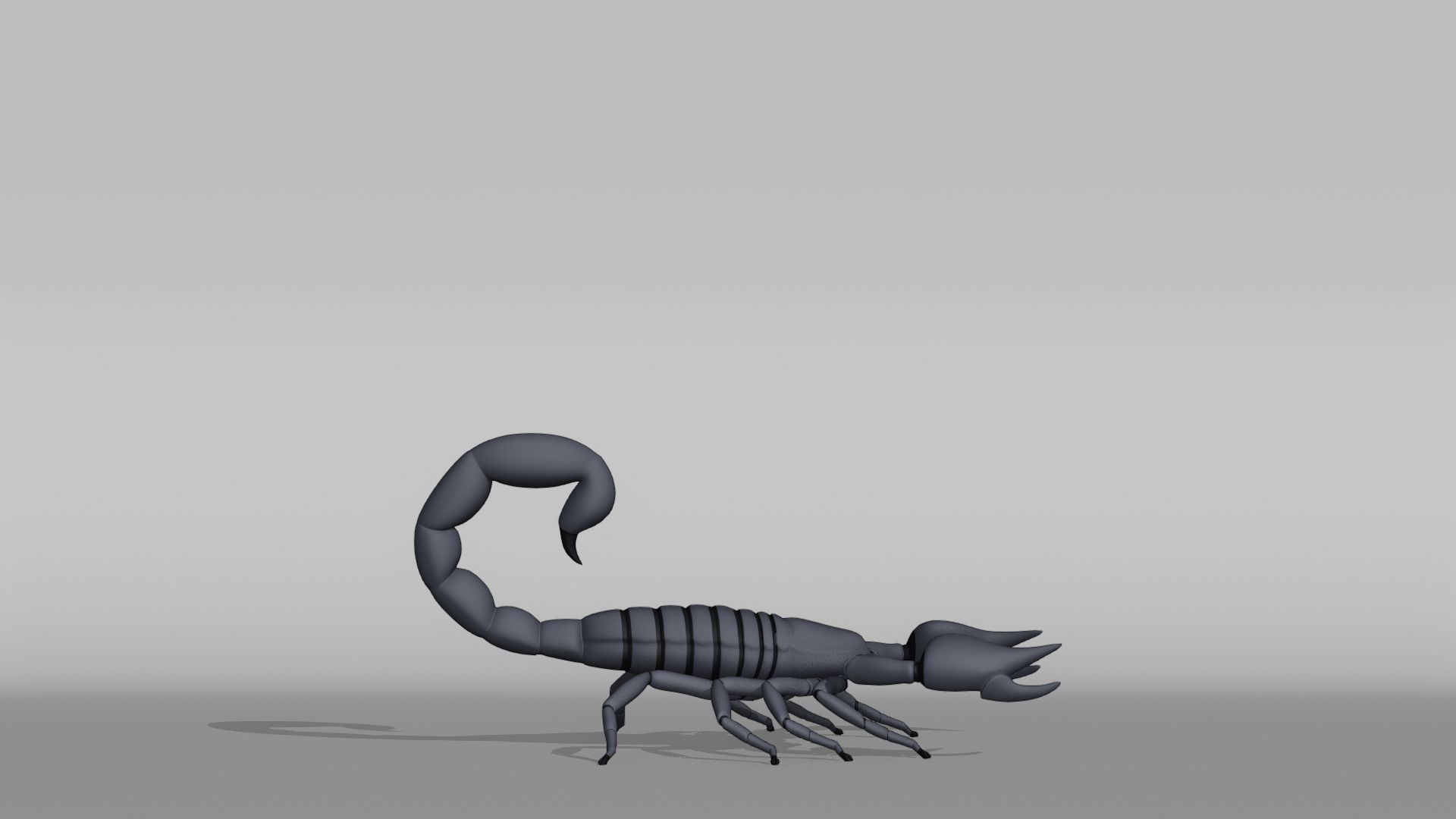 Scorpion Base Mesh Low-poly 3D model_8
