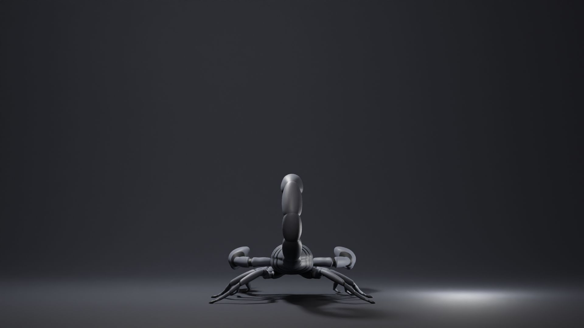 Scorpion Base Mesh Low-poly 3D model_4