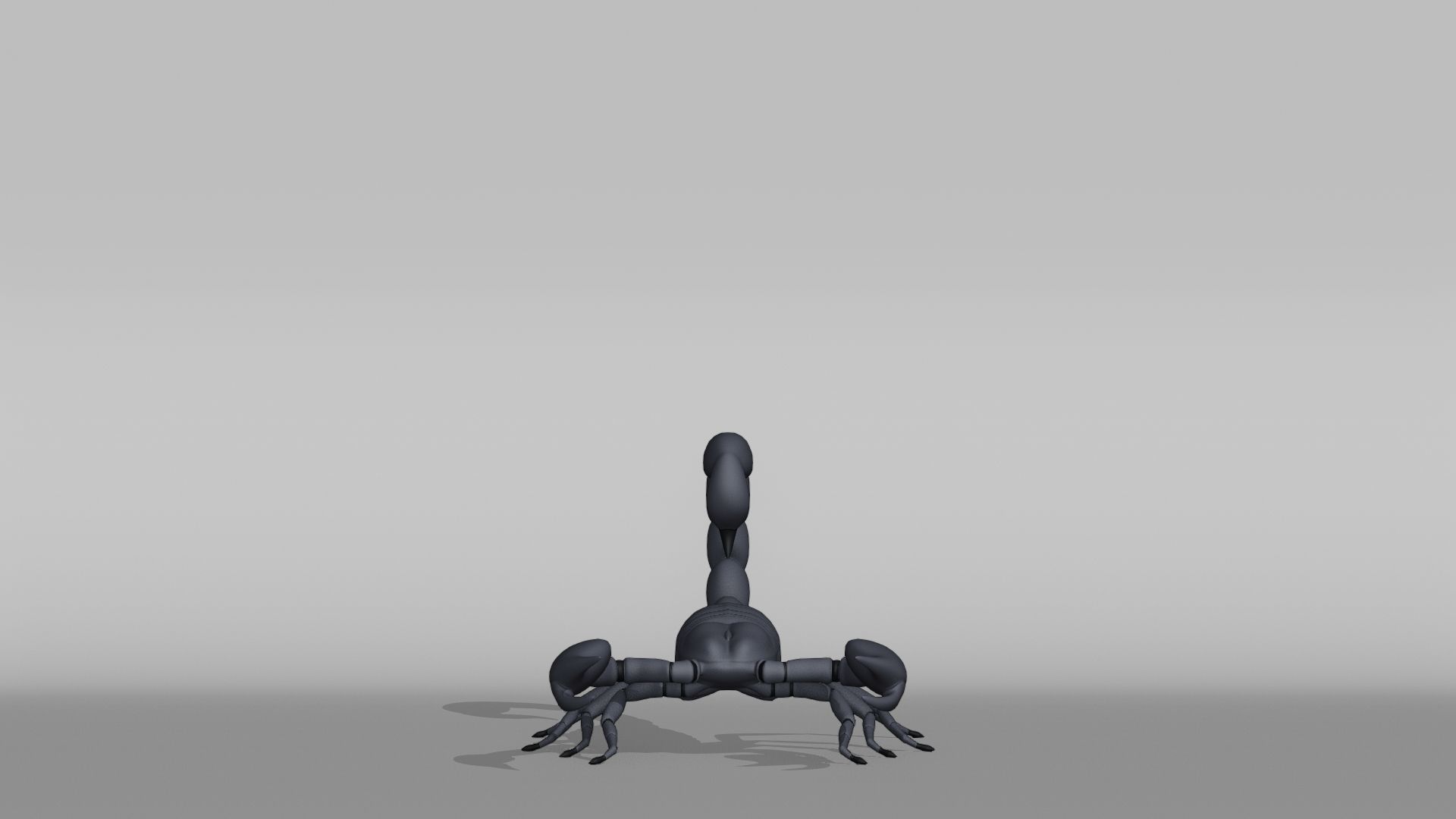 Scorpion Base Mesh Low-poly 3D model_7