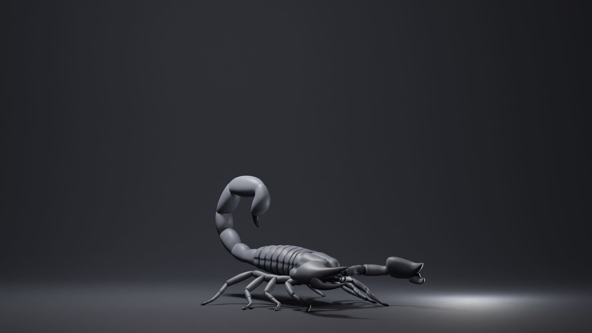 Scorpion Base Mesh Low-poly 3D model_1