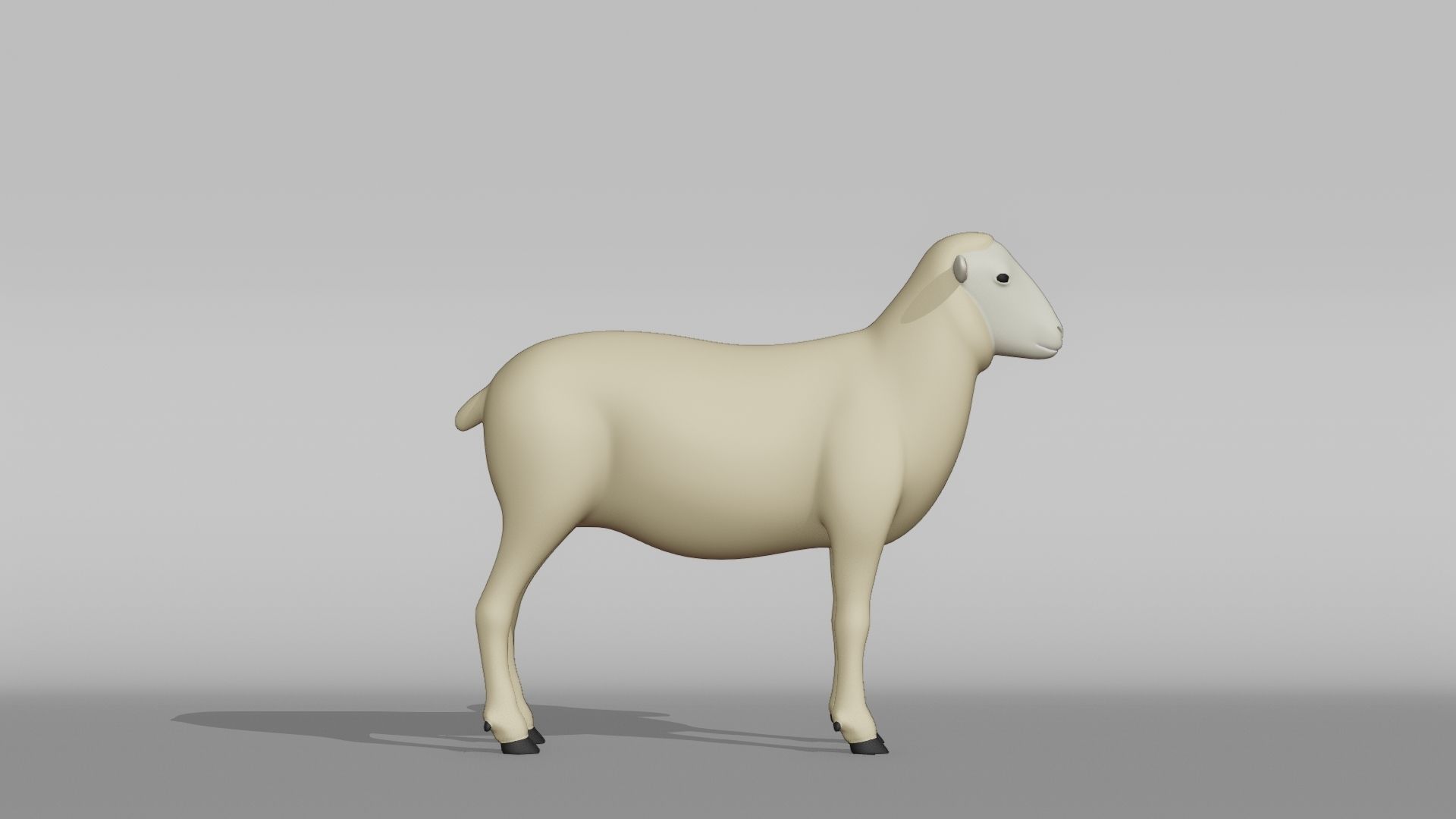 Sheep Base Mesh Low-poly 3D model_8