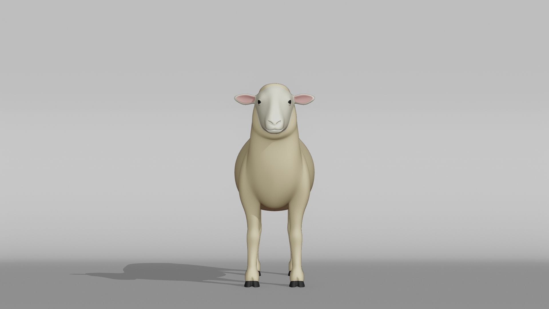 Sheep Base Mesh Low-poly 3D model_7
