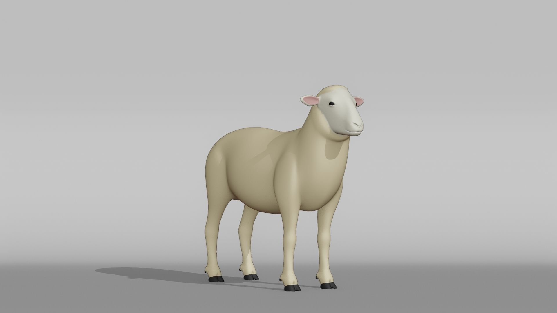 Sheep Base Mesh Low-poly 3D model_6