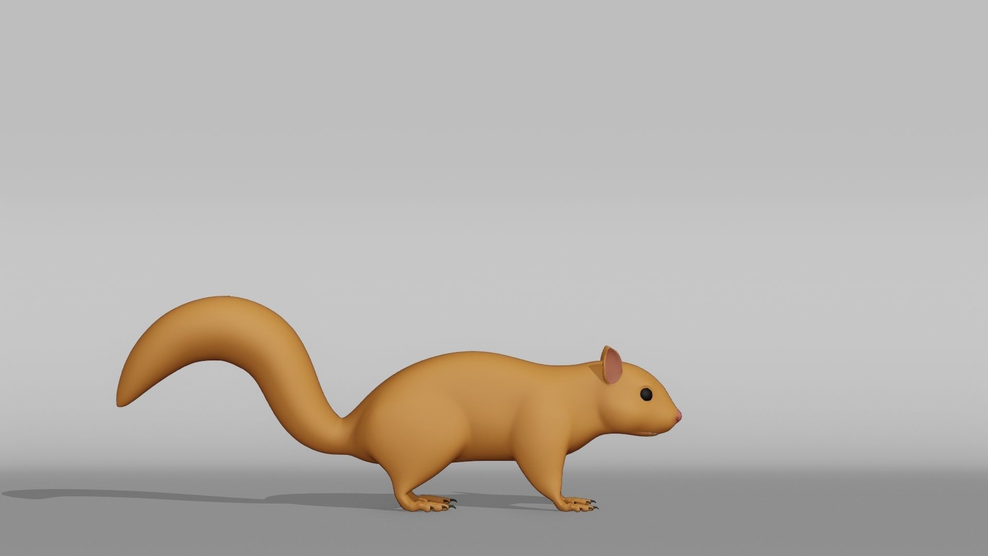 Squirrel Base Mesh Low-poly 3D model_9