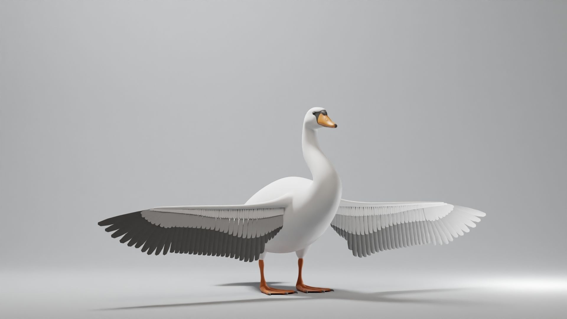 Swan Base Mesh Low-poly 3D model_1