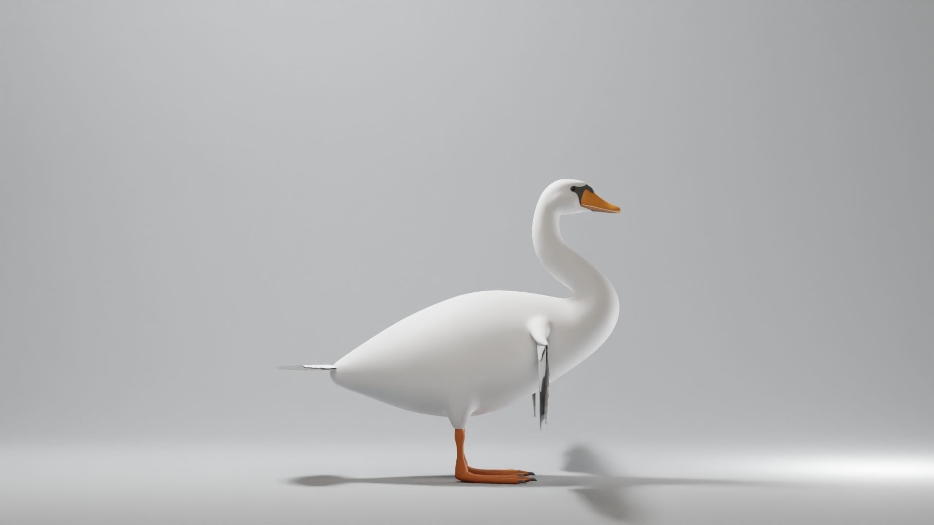 Swan Base Mesh Low-poly 3D model_3