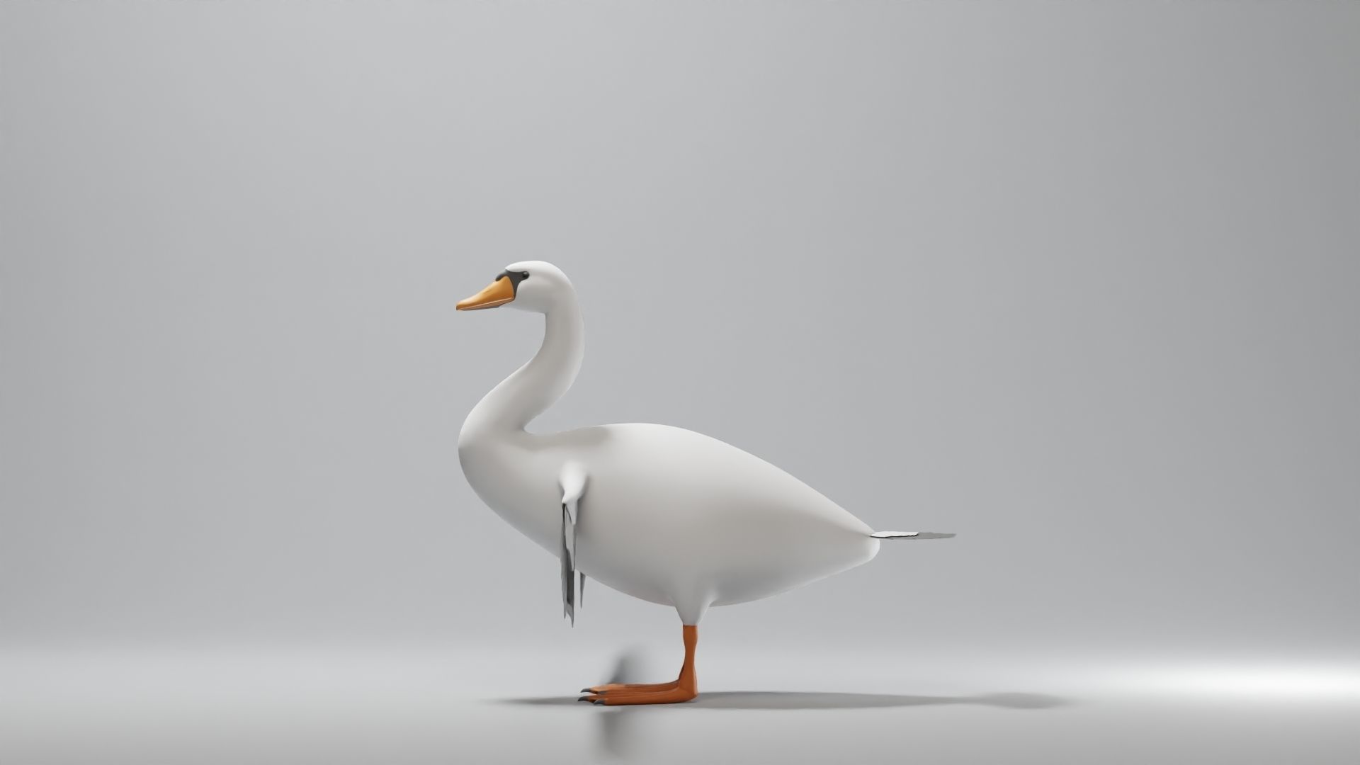 Swan Base Mesh Low-poly 3D model_5