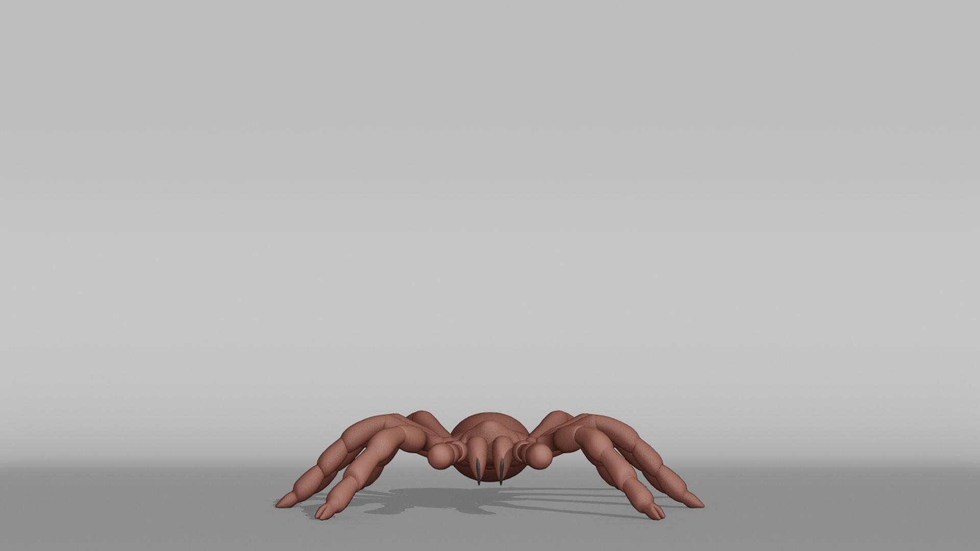 Tarantula Base Mesh Low-poly 3D model_7