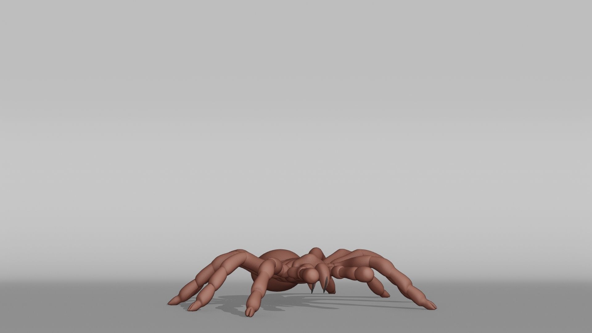 Tarantula Base Mesh Low-poly 3D model_6