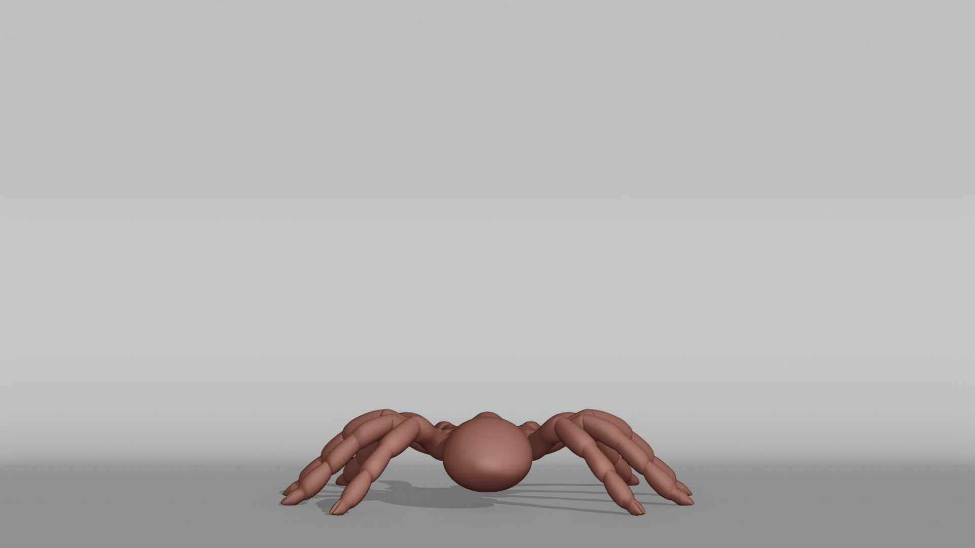 Tarantula Base Mesh Low-poly 3D model_9