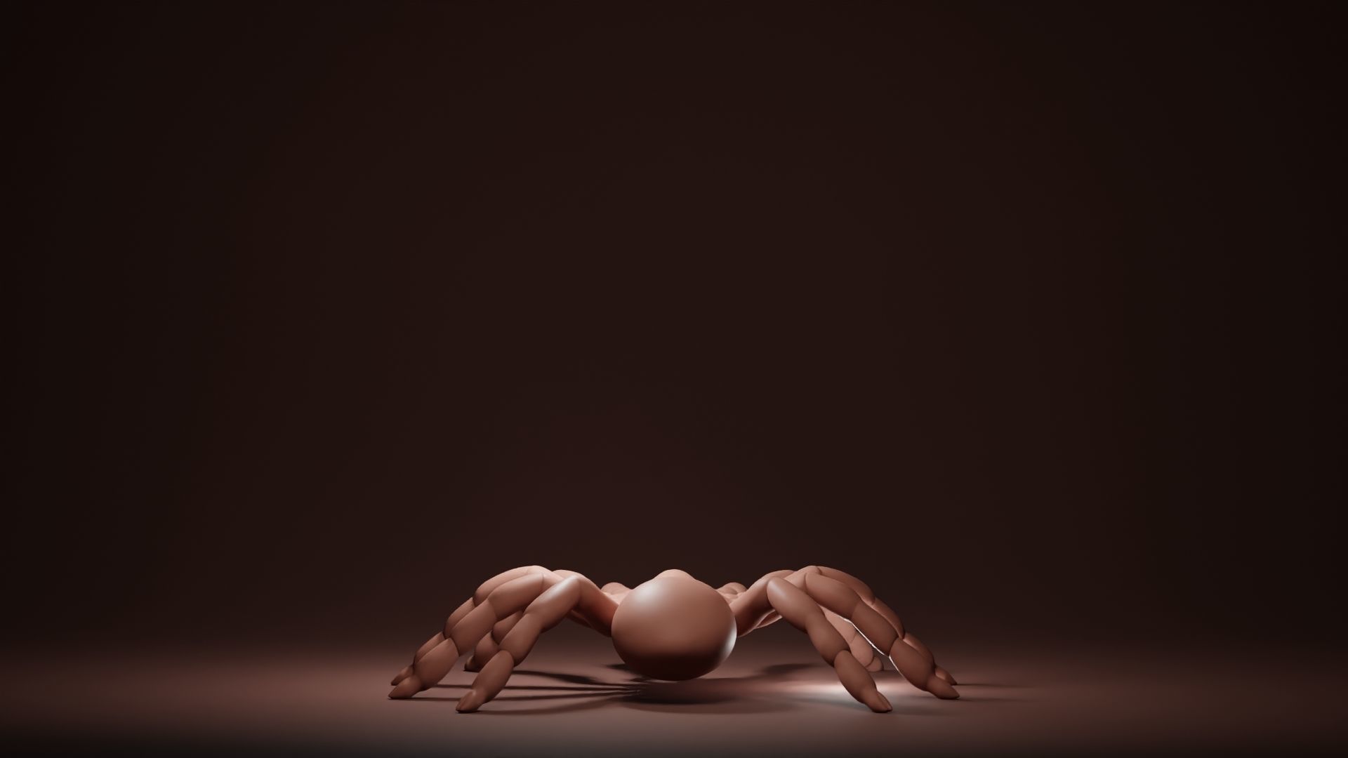 Tarantula Base Mesh Low-poly 3D model_4