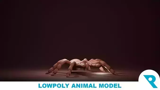 Tarantula Base Mesh Low-poly 3D model