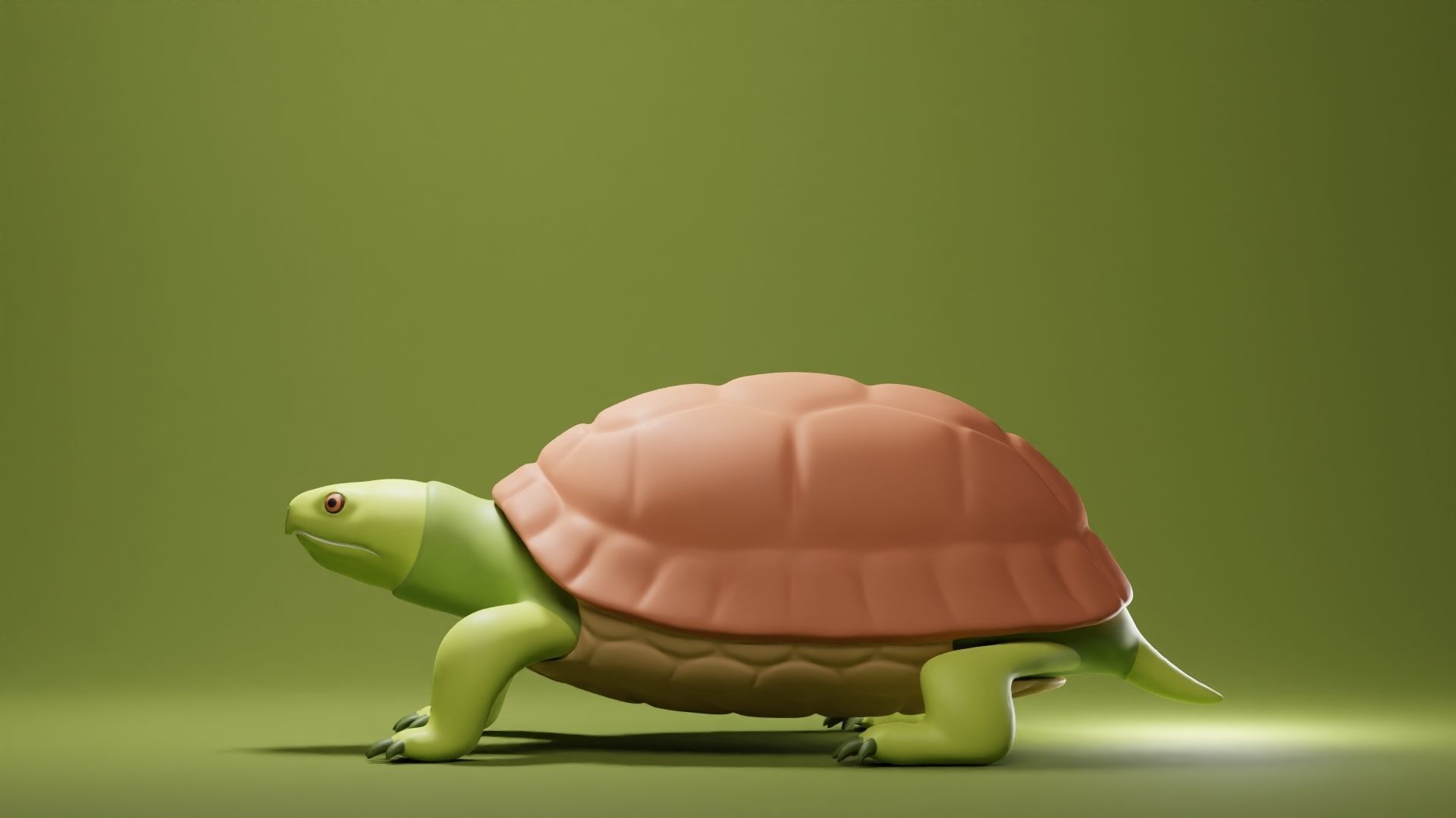 Tortoise Base Mesh Low-poly 3D model_5