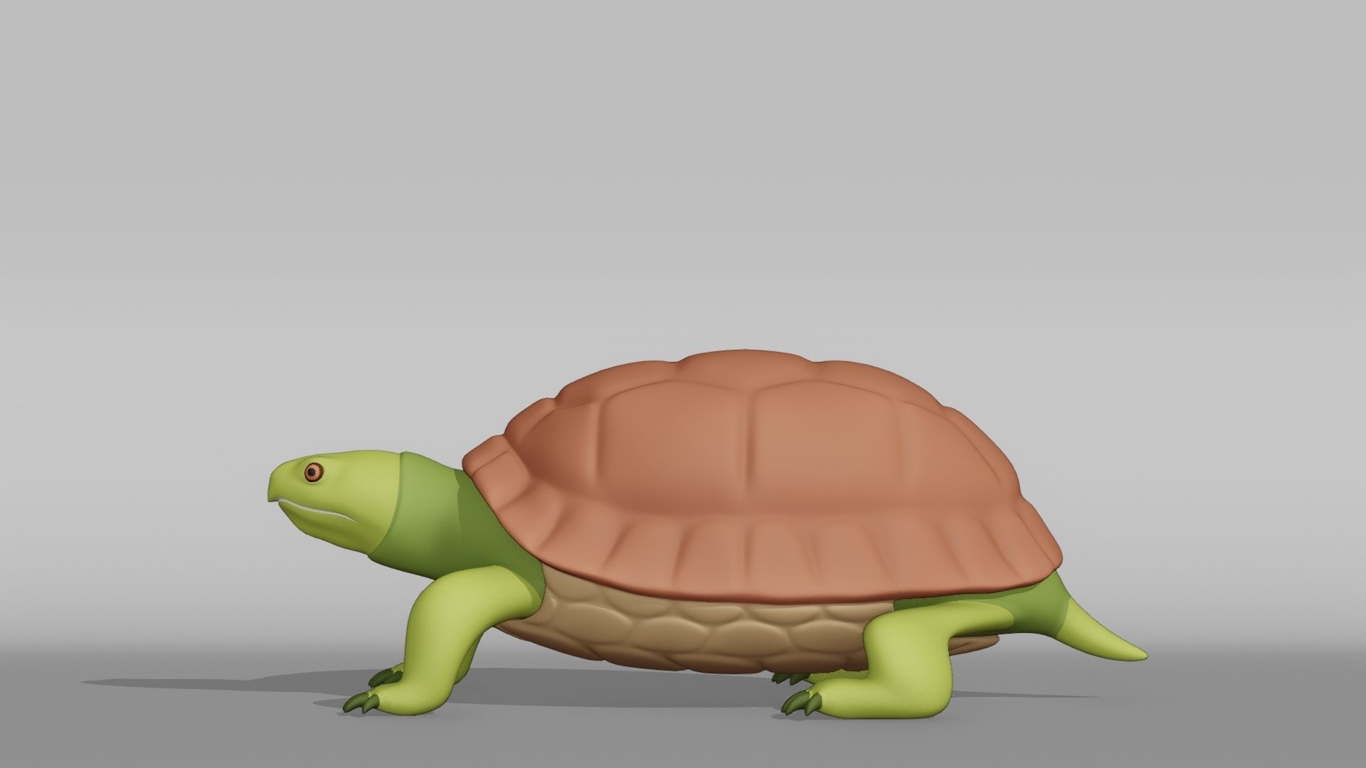 Tortoise Base Mesh Low-poly 3D model_10