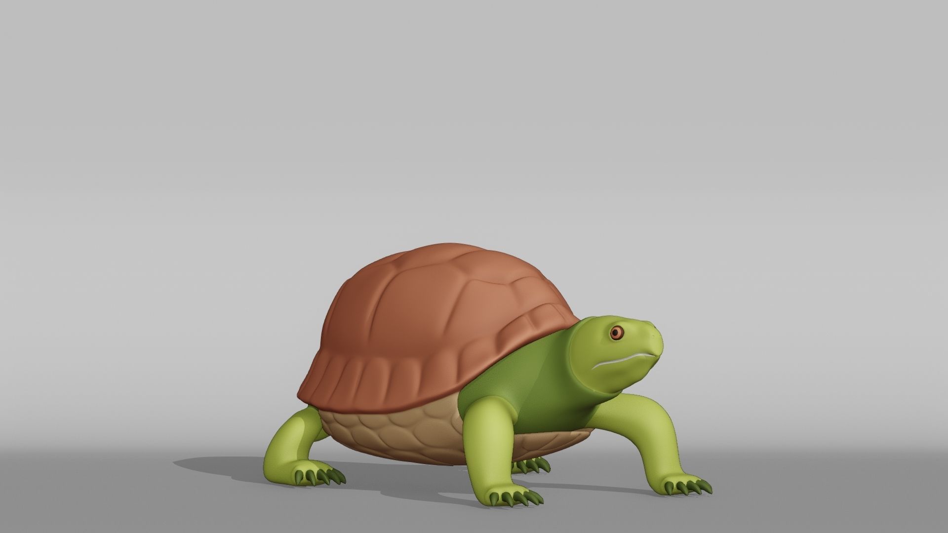 Tortoise Base Mesh Low-poly 3D model_6