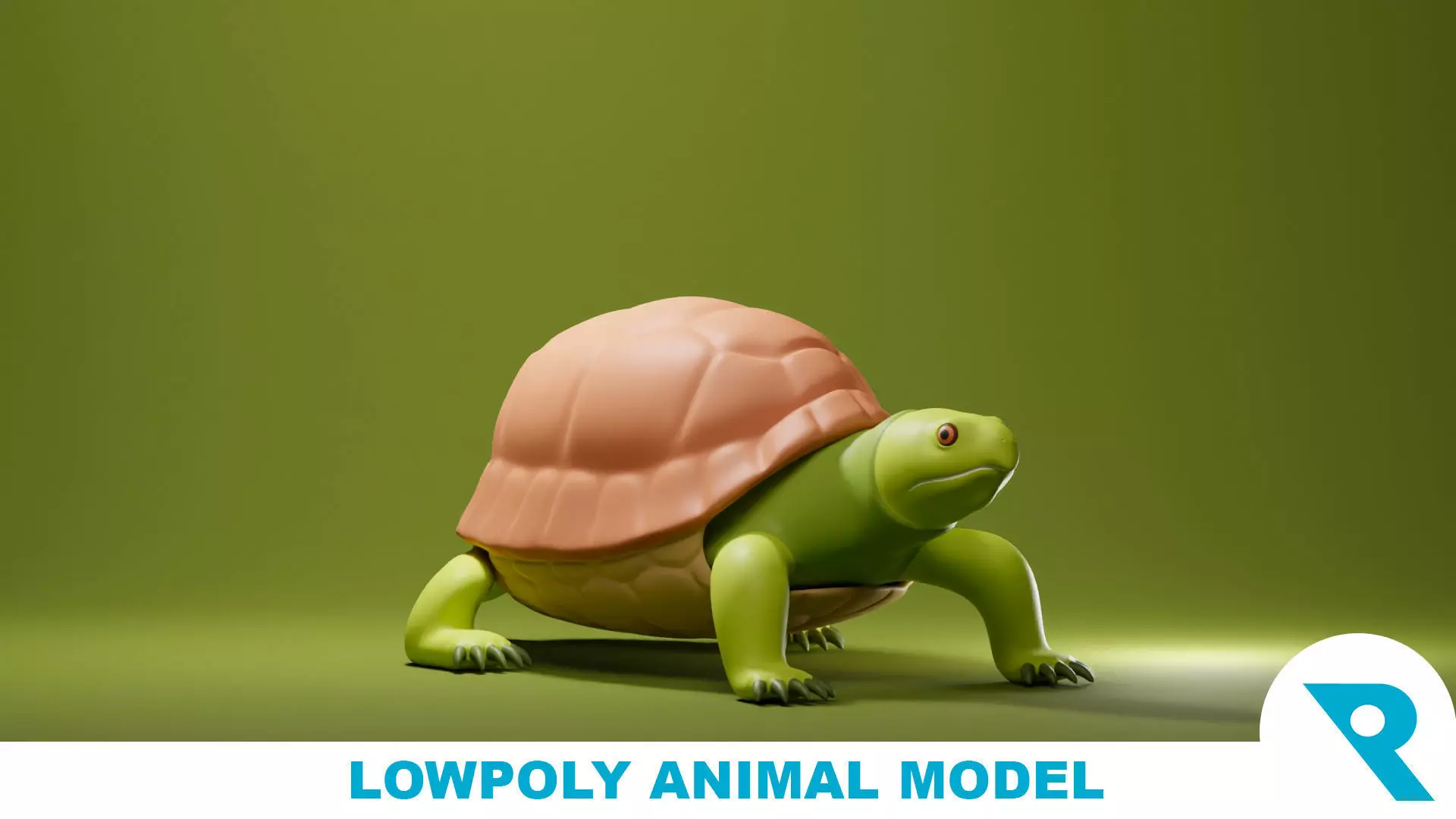 Tortoise Base Mesh Low-poly 3D model_0