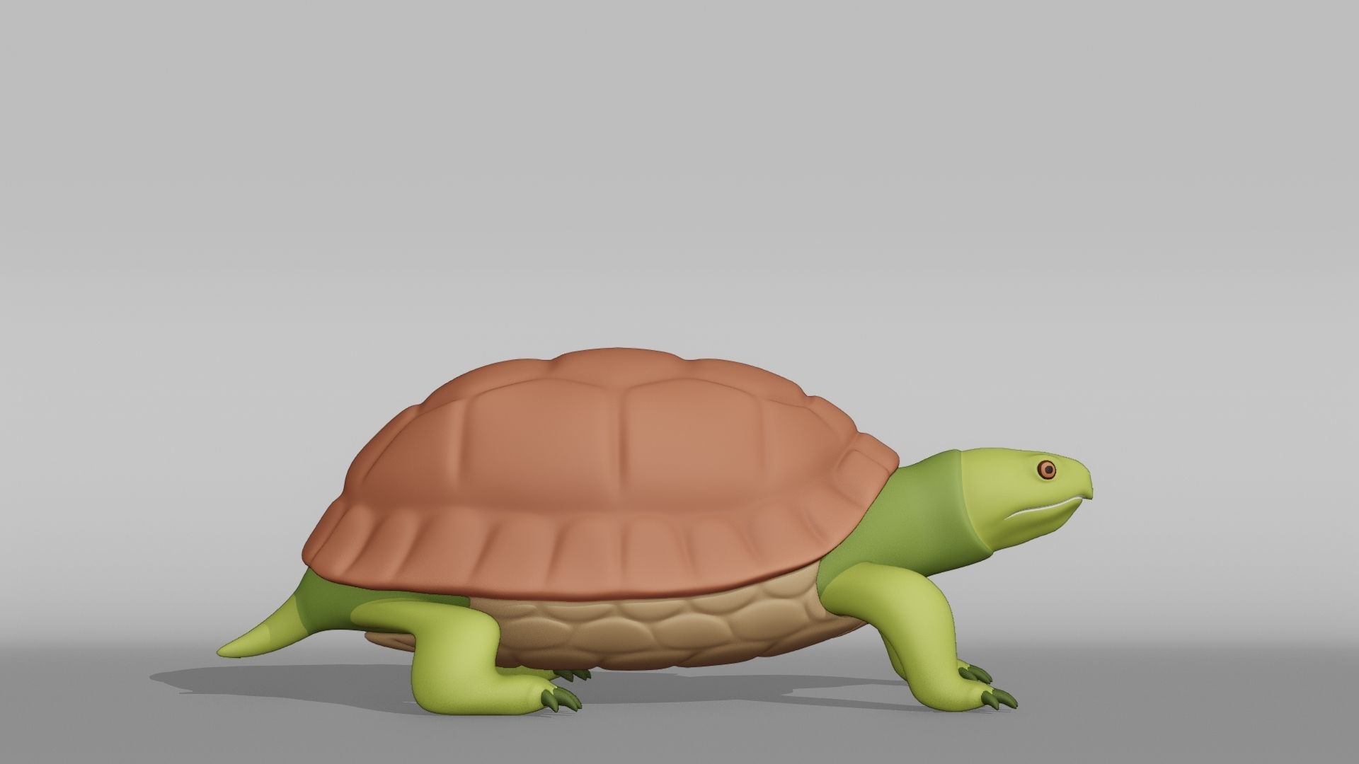 Tortoise Base Mesh Low-poly 3D model_8