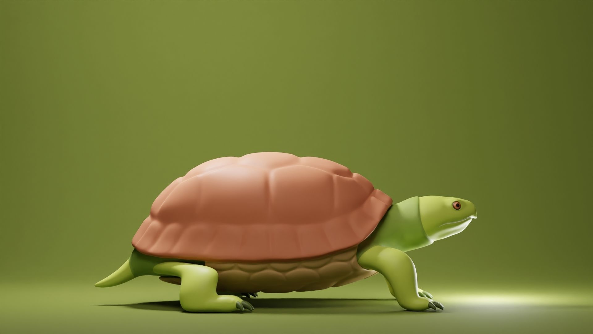 Tortoise Base Mesh Low-poly 3D model_3