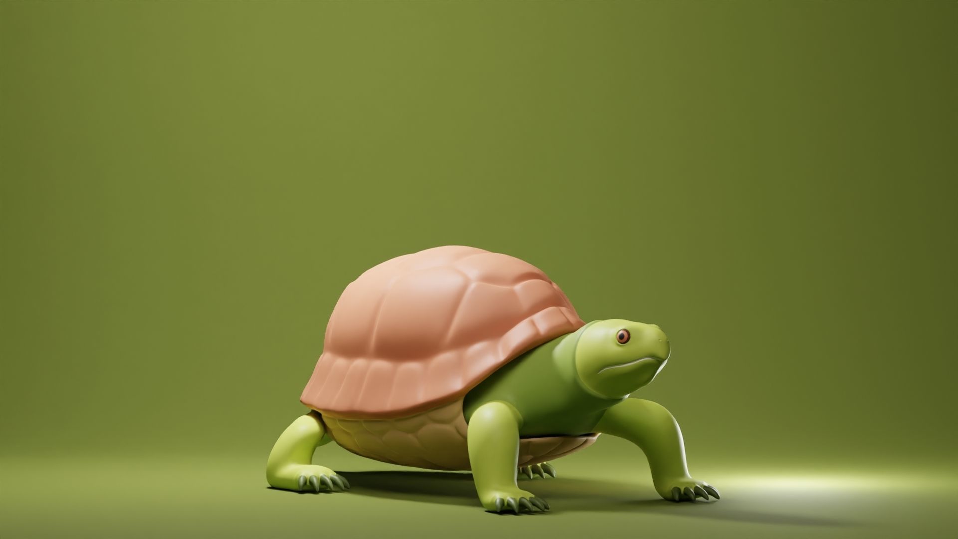 Tortoise Base Mesh Low-poly 3D model_1