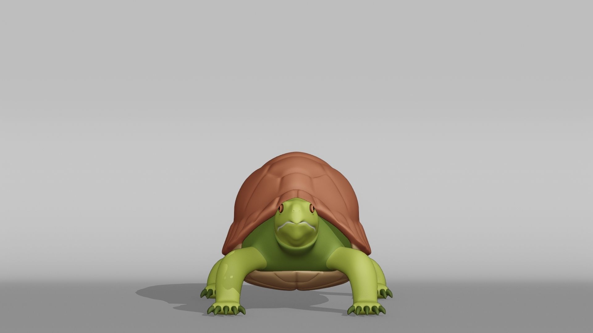 Tortoise Base Mesh Low-poly 3D model_7
