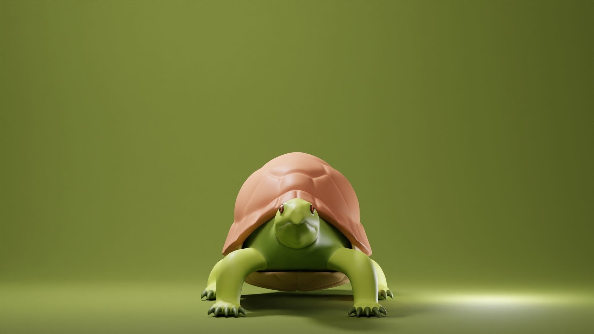 Tortoise Base Mesh Low-poly 3D model_2