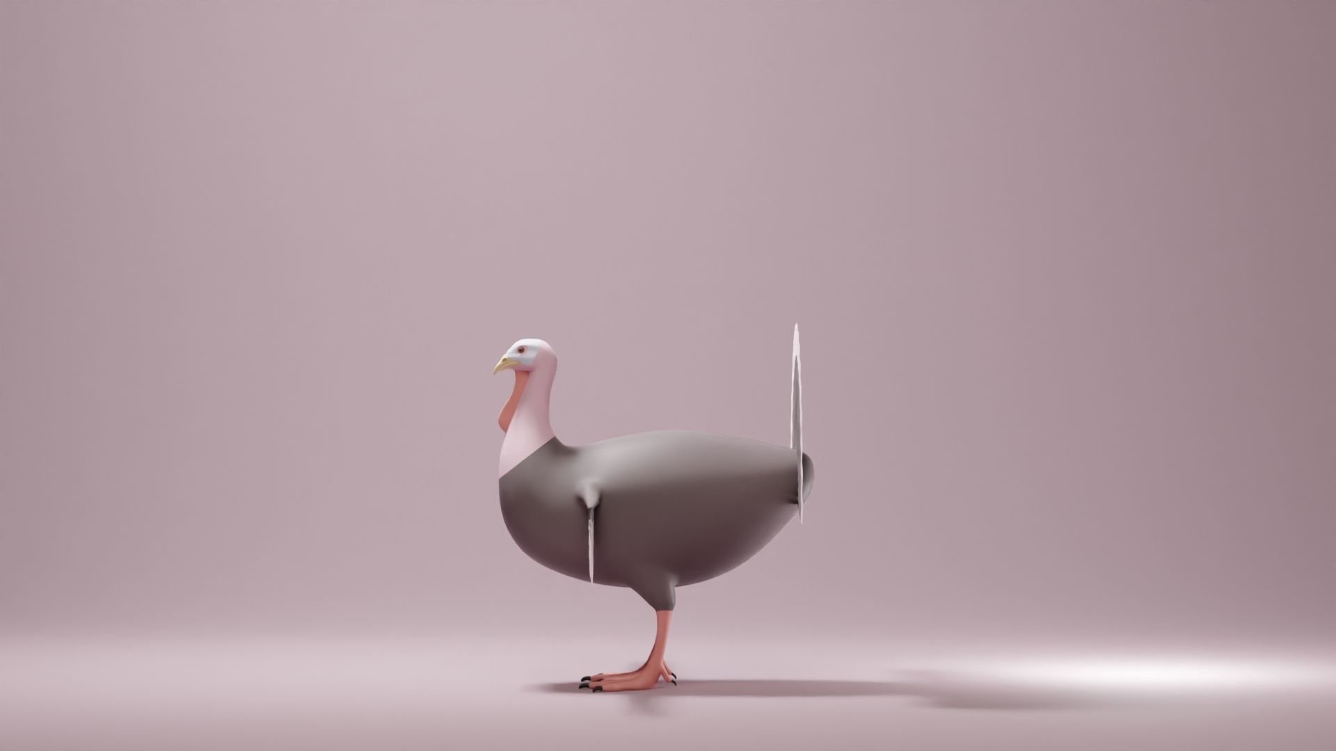 Turkey Base Mesh Low-poly 3D model_5