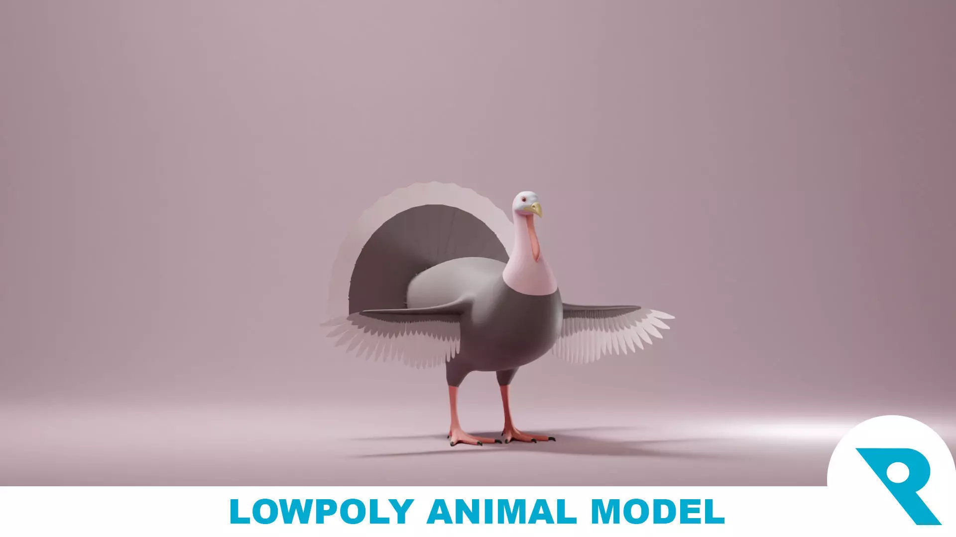 Turkey Base Mesh Low-poly 3D model_0