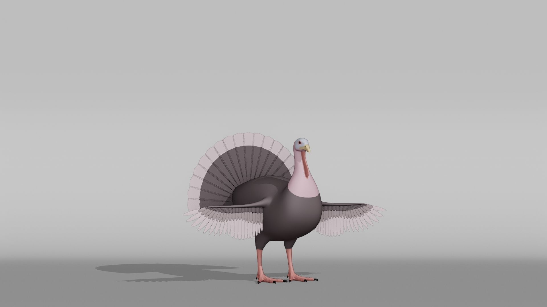 Turkey Base Mesh Low-poly 3D model_6