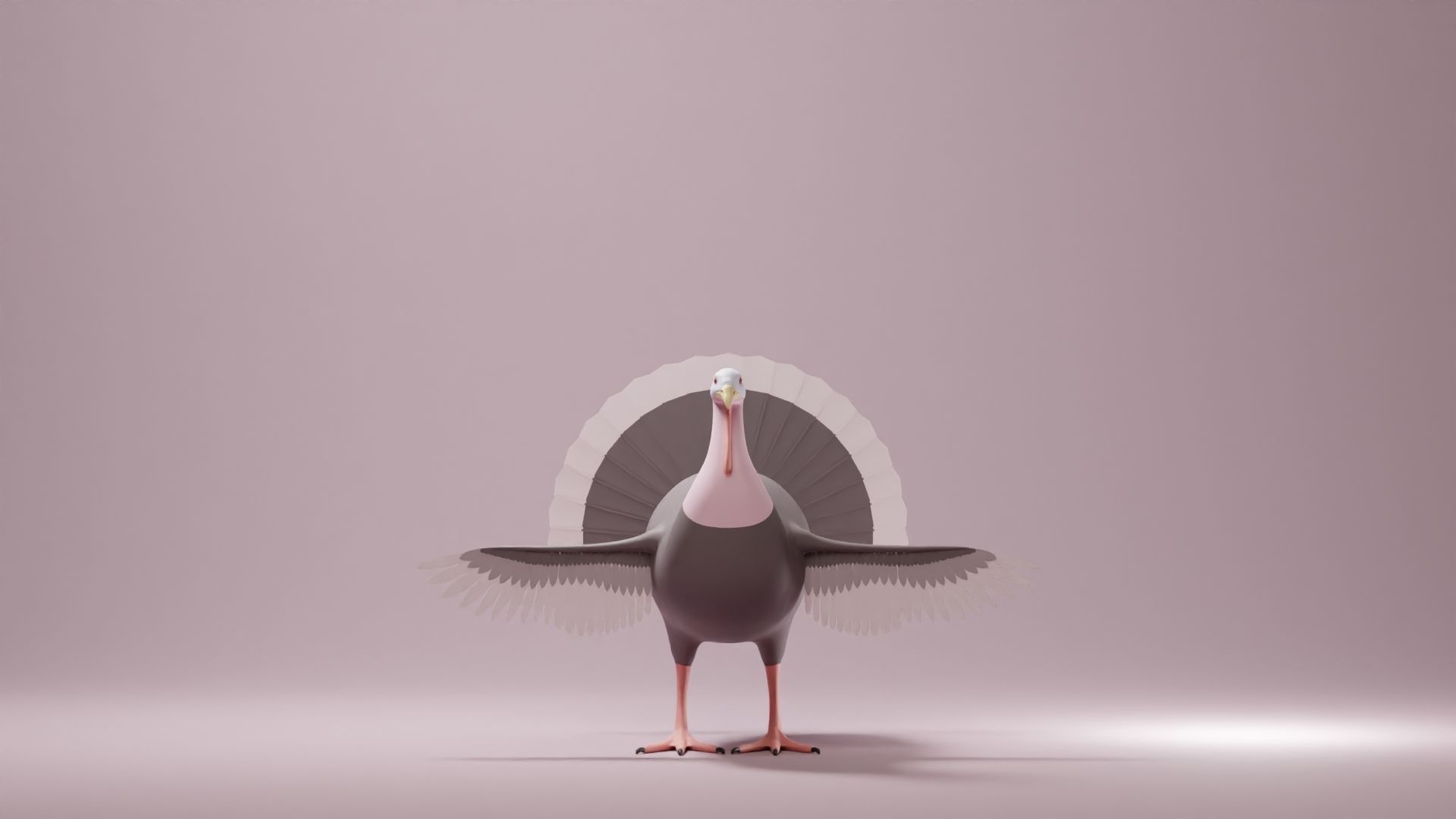 Turkey Base Mesh Low-poly 3D model_2