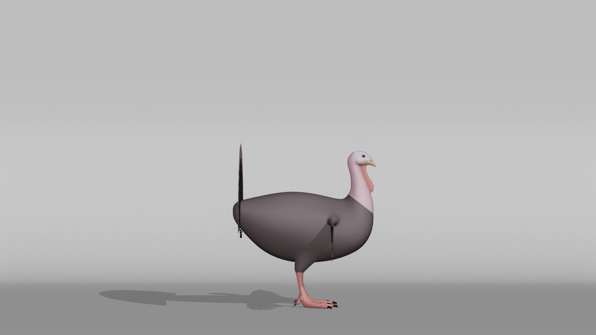 Turkey Base Mesh Low-poly 3D model_7