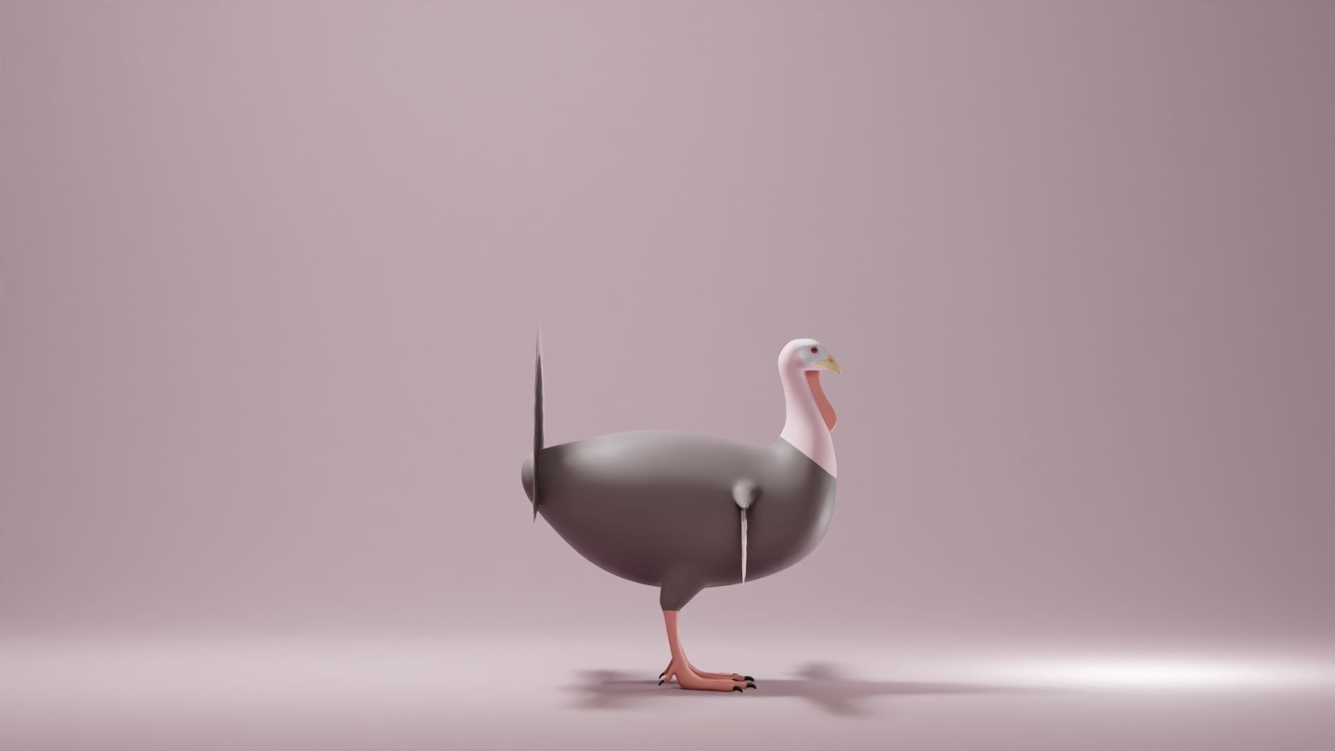 Turkey Base Mesh Low-poly 3D model_3