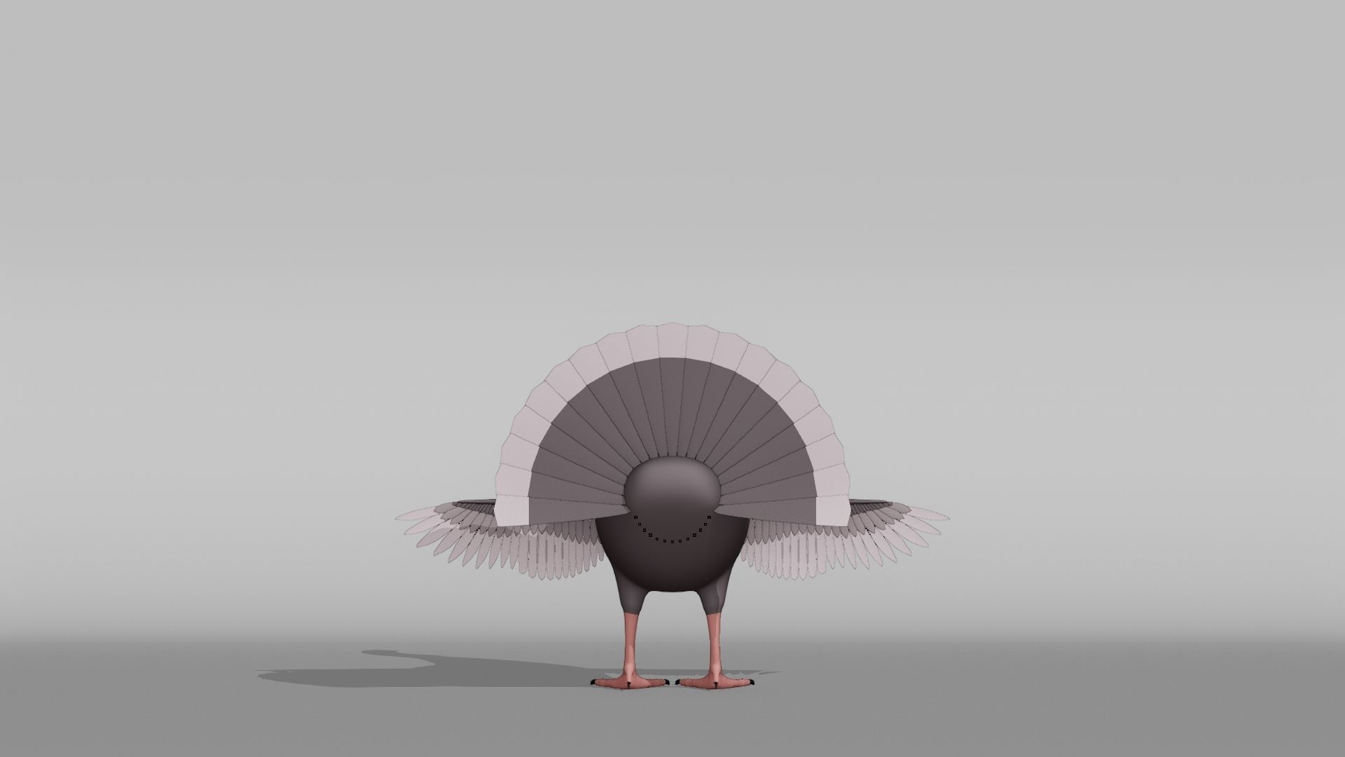 Turkey Base Mesh Low-poly 3D model_9