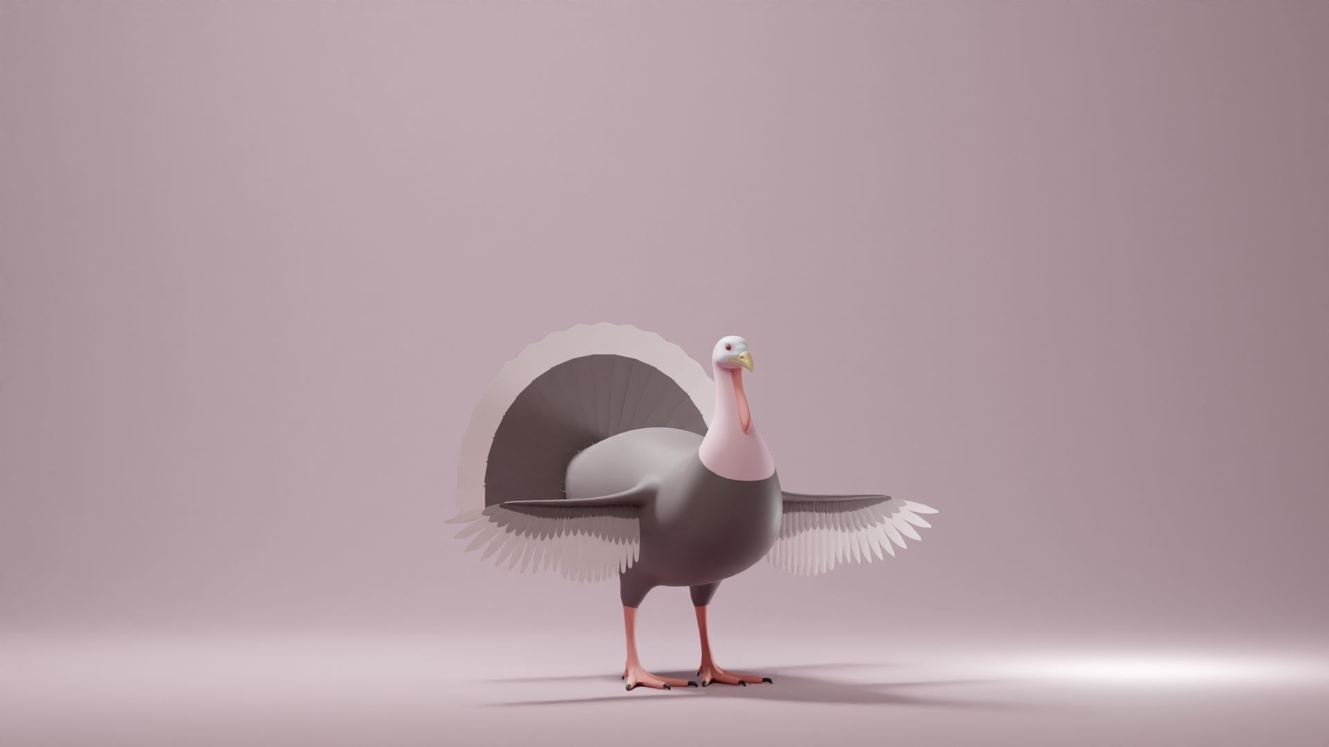 Turkey Base Mesh Low-poly 3D model_1