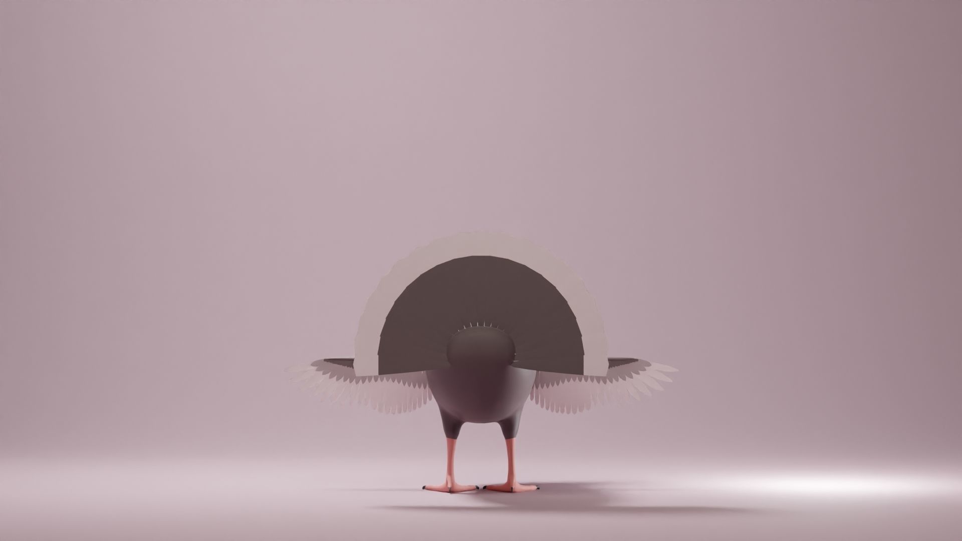 Turkey Base Mesh Low-poly 3D model_4