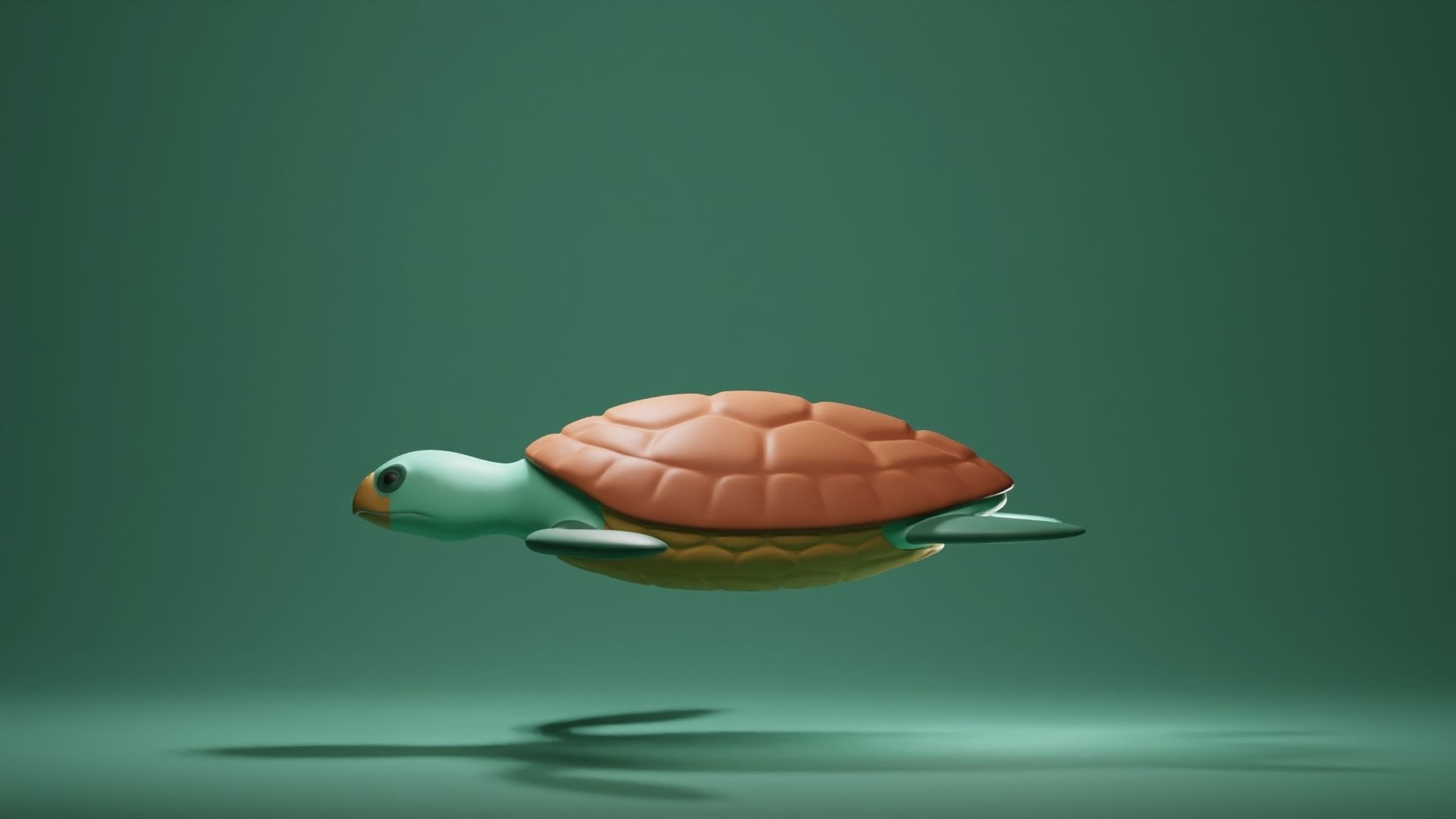 Turtle Base Mesh Low-poly 3D model_5