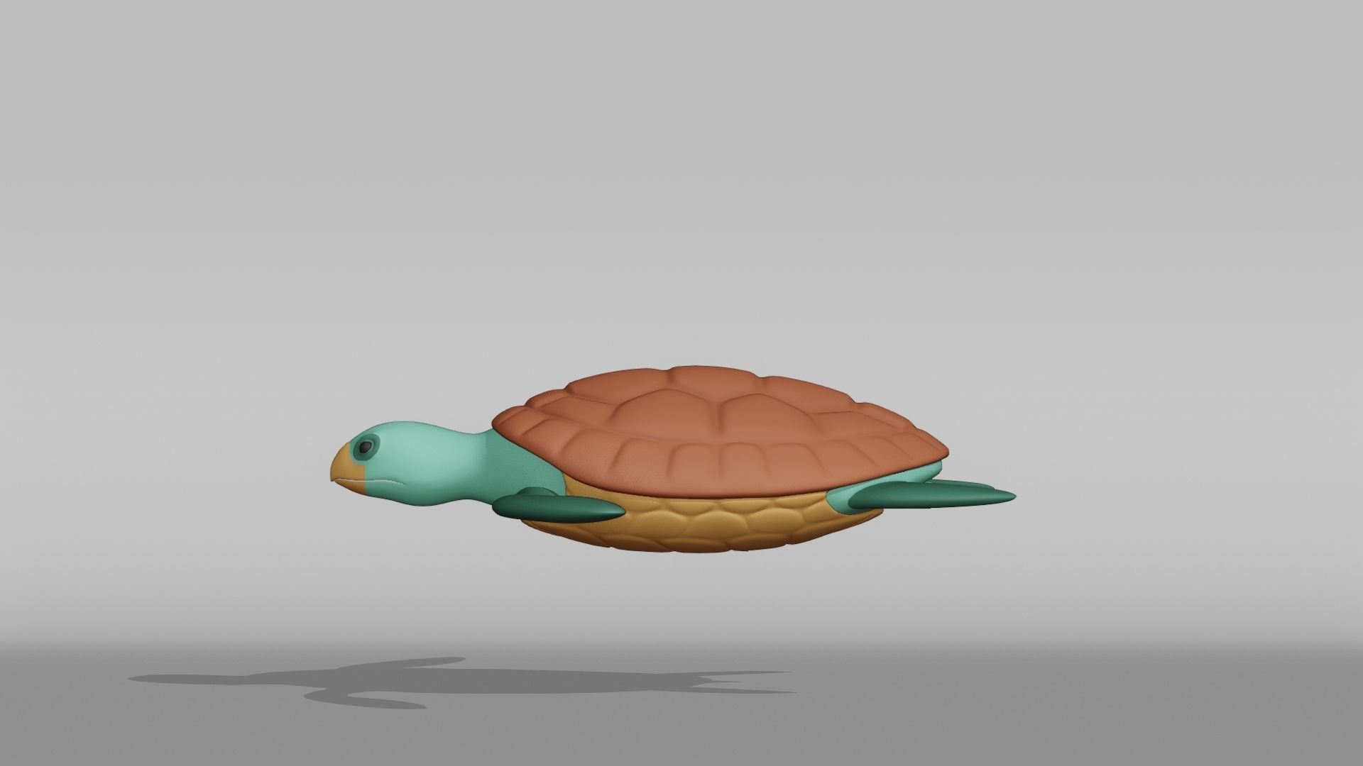 Turtle Base Mesh Low-poly 3D model_10