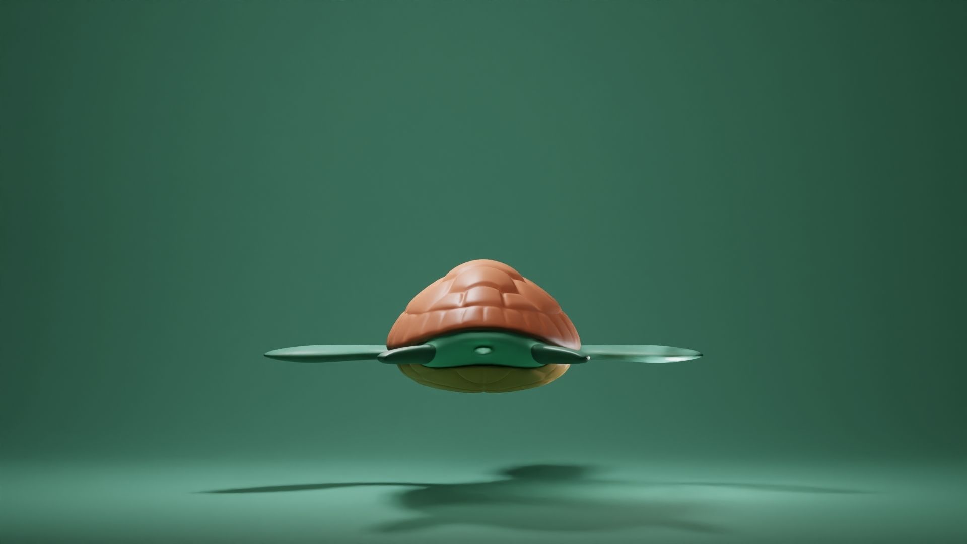 Turtle Base Mesh Low-poly 3D model_4