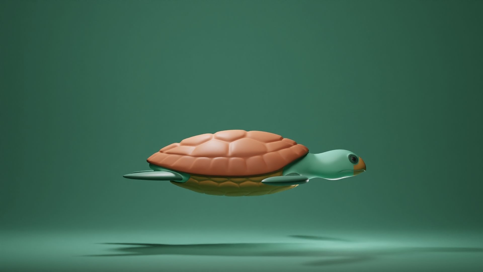 Turtle Base Mesh Low-poly 3D model_3