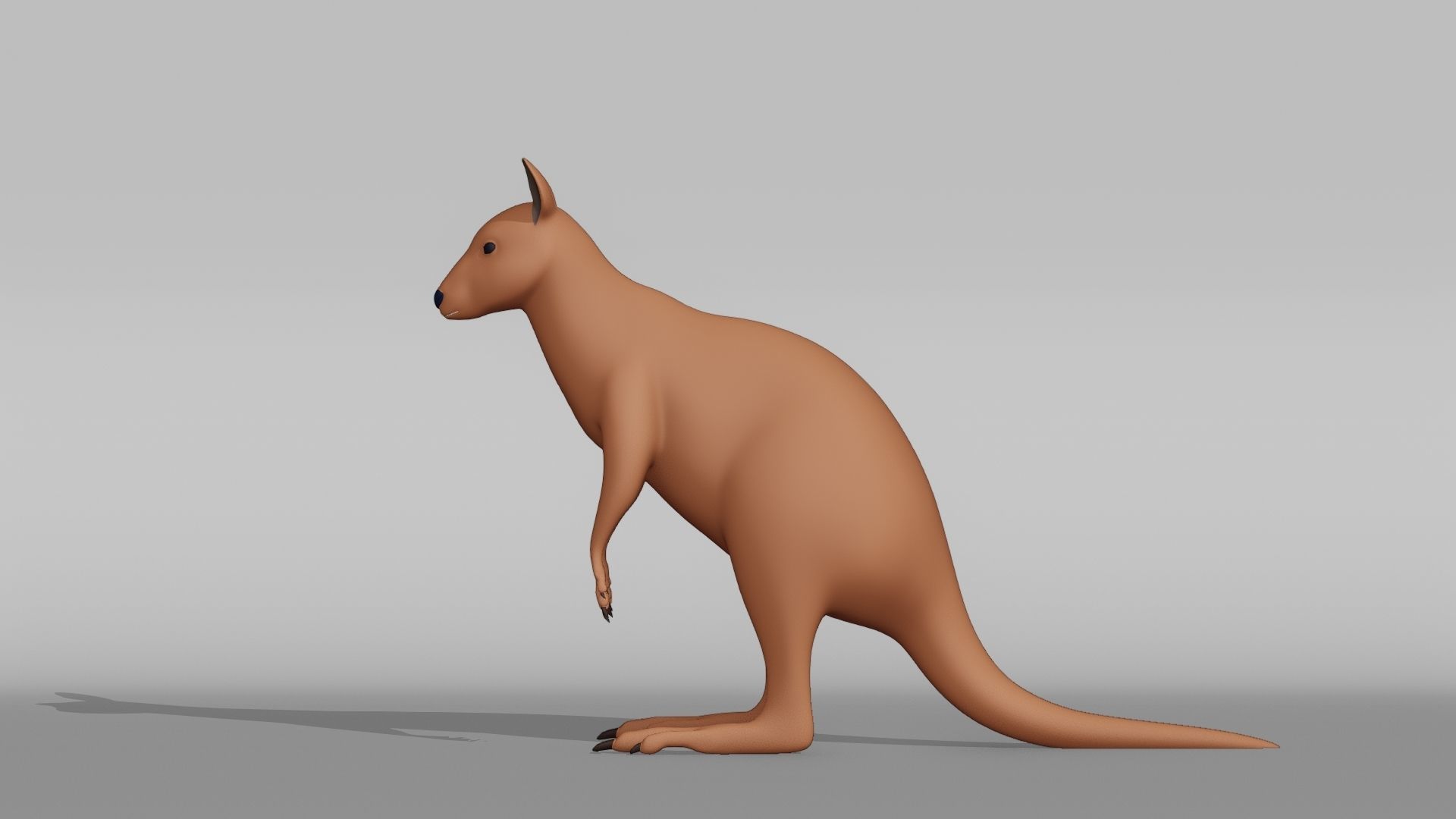 Wallaby Base Mesh Low-poly 3D model_10