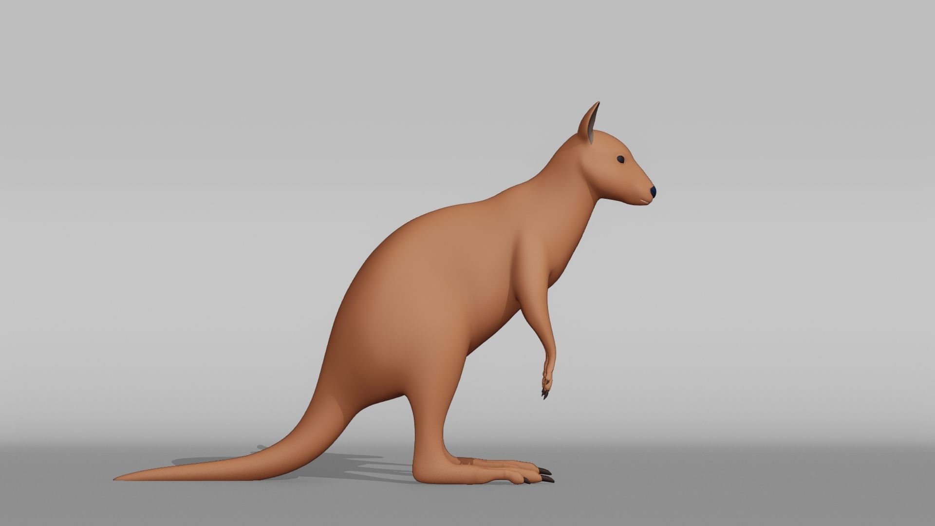 Wallaby Base Mesh Low-poly 3D model_8