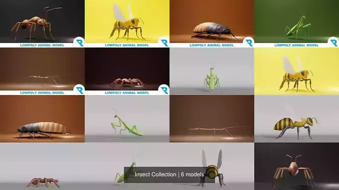 Insect Collection ant 