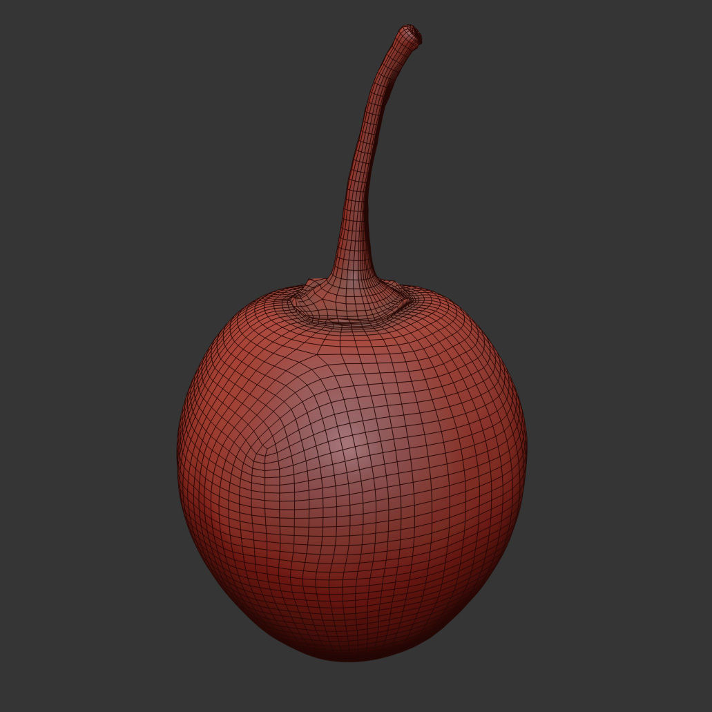 Tamarillo 3D model_6