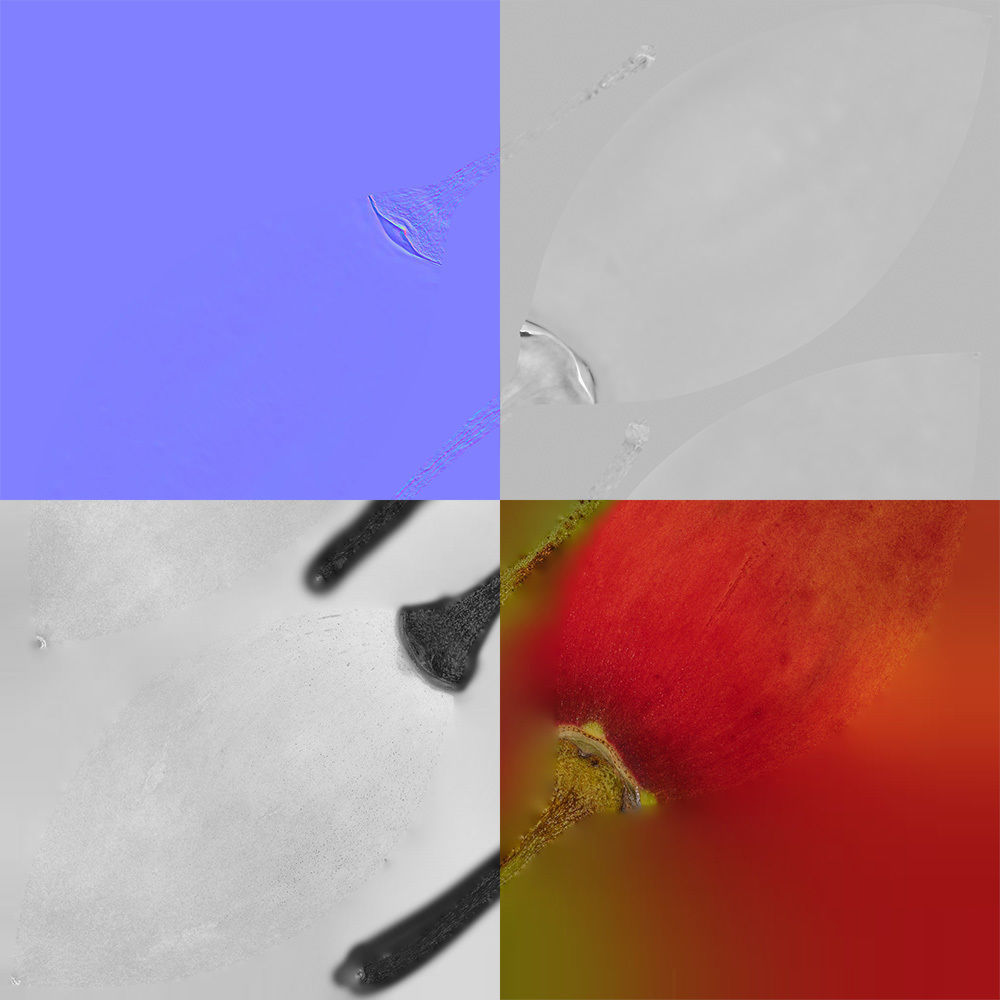 Tamarillo 3D model_8