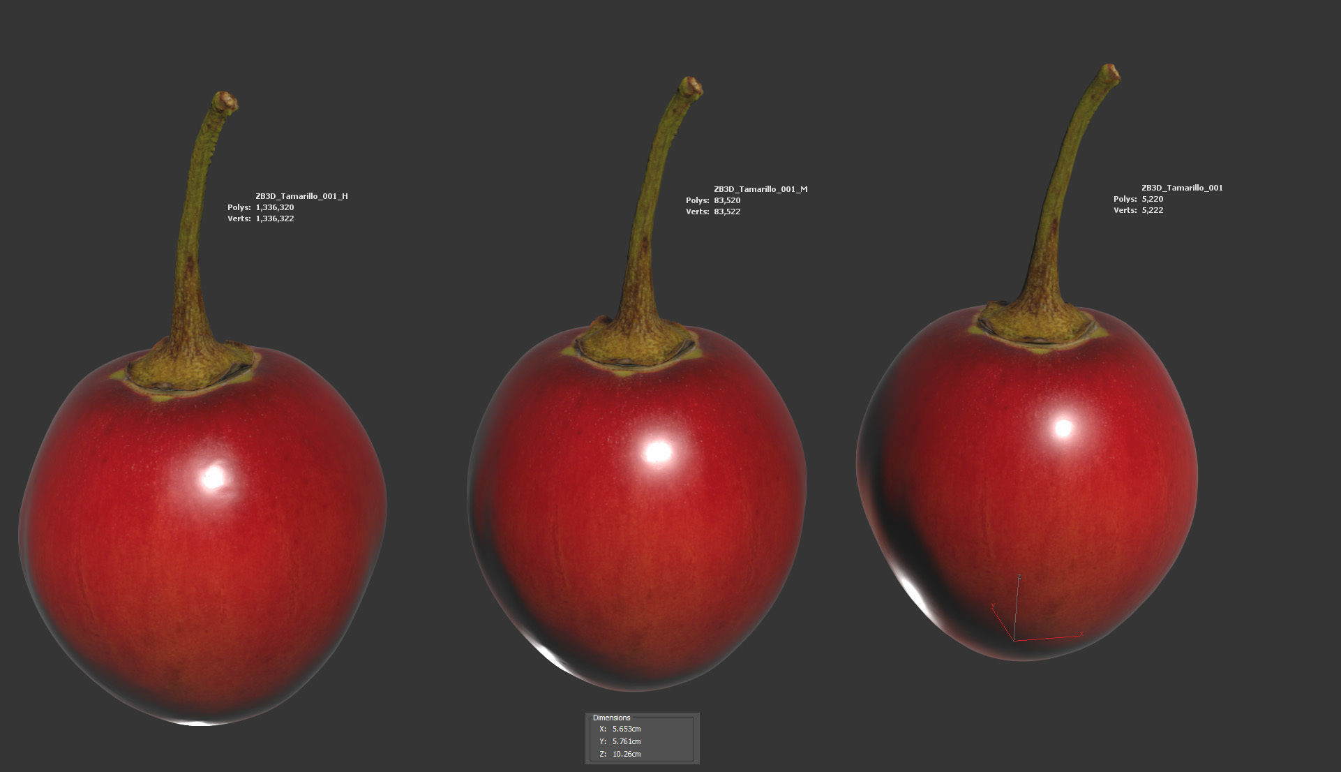 Tamarillo 3D model_5