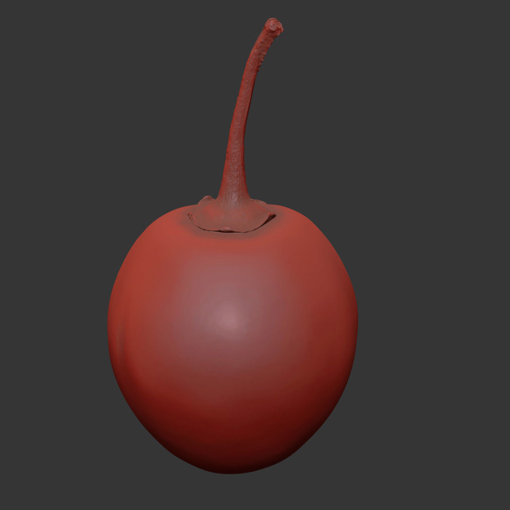 Tamarillo 3D model_7